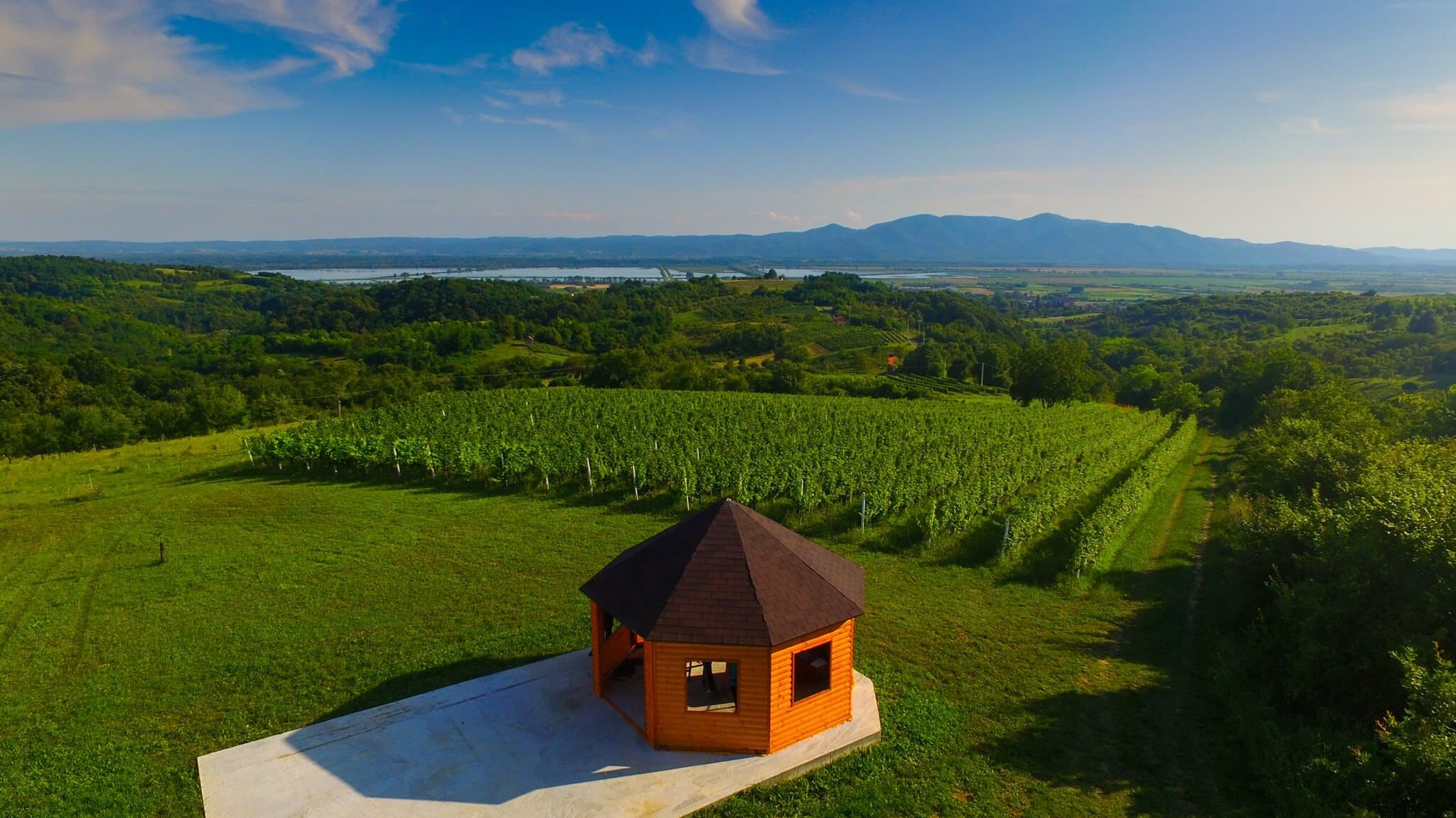 OPG Vuckovic - wineyard